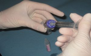 besnainou botox04