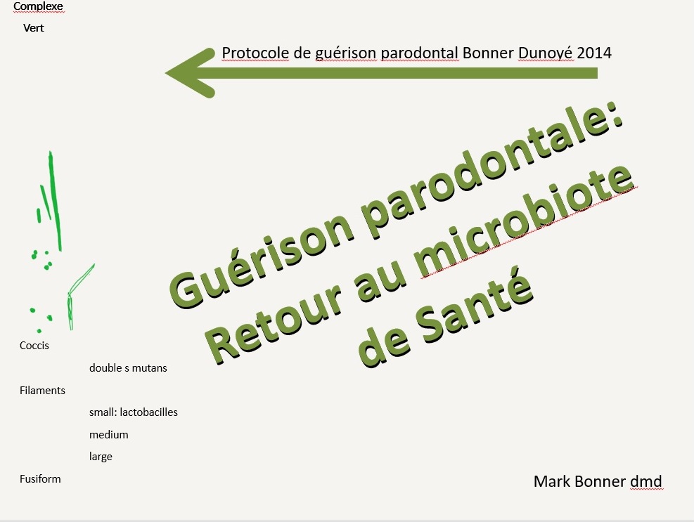 Microbiote de Santé