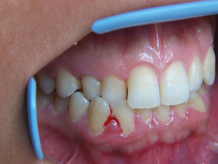 Fig 01